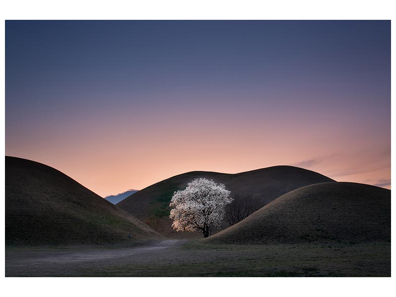 canvas-print-king-s-grave-x