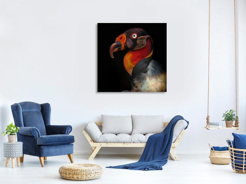 canvas-print-king-vulturesarcoramphus-papa-x