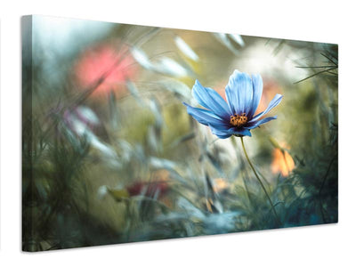 canvas-print-pinewood