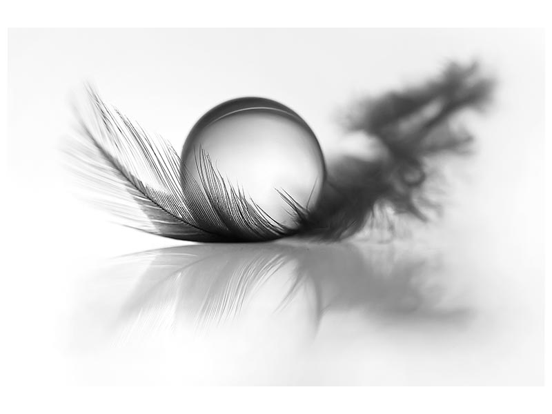 canvas-print-lightness-x