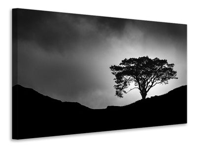 canvas-print-lone-tree