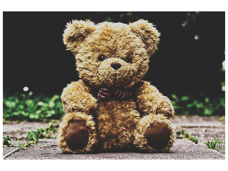 canvas-print-love-teddy
