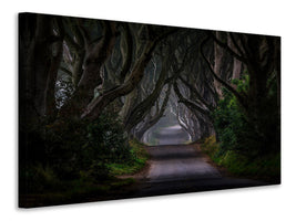 canvas-print-magic-road