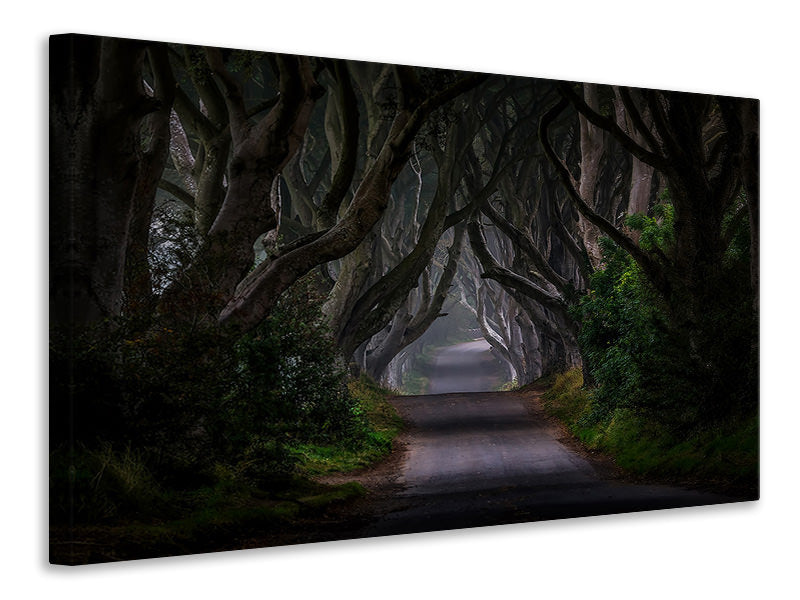 canvas-print-magic-road