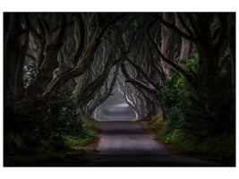 canvas-print-magic-road