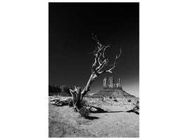 canvas-print-monument-x