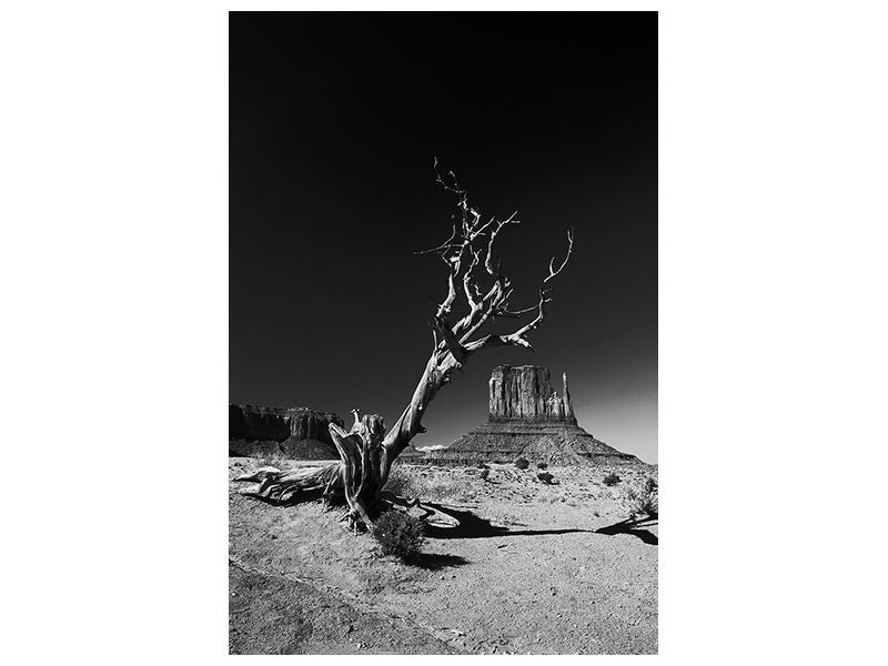 canvas-print-monument-x