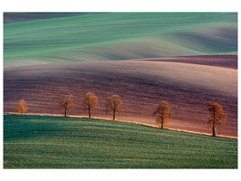 canvas-print-moravian-landscape-x