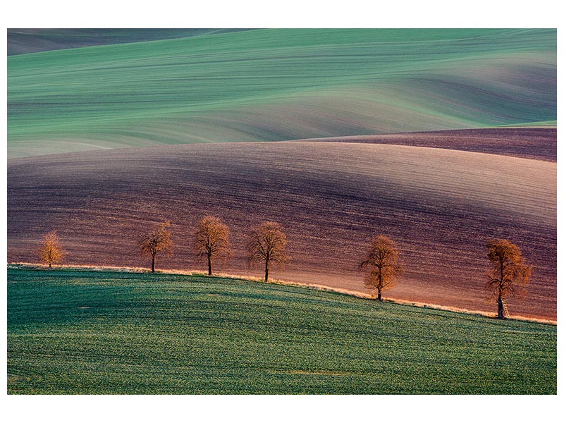canvas-print-moravian-landscape-x