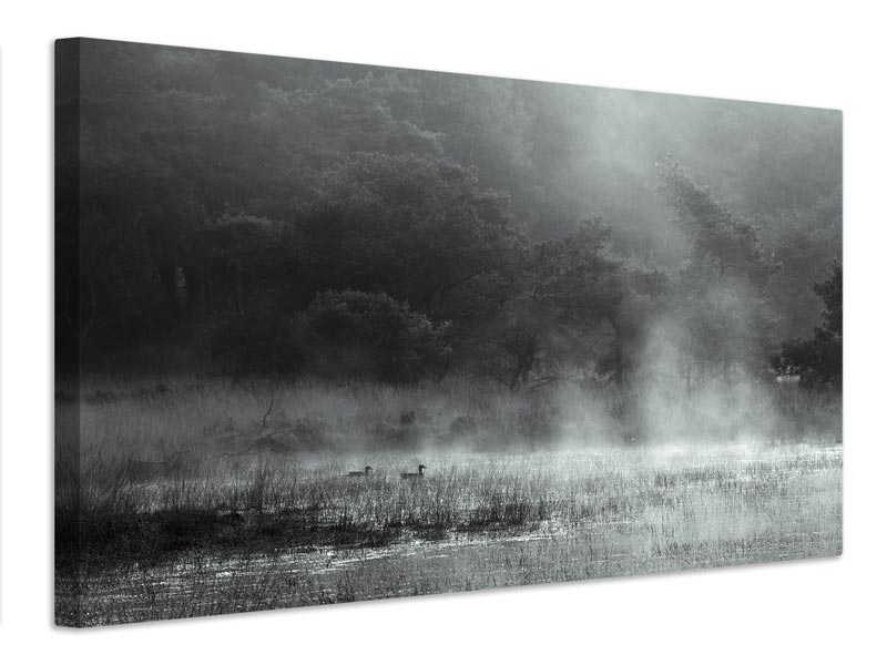 canvas-print-morning-at-the-moor-x