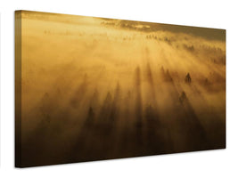 canvas-print-morning-in-the-forest-xil