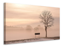 canvas-print-mystic-mood-in-nature