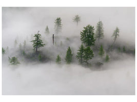 canvas-print-mystical-tree-island-x