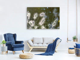 canvas-print-ornamental-grasses-in-xl