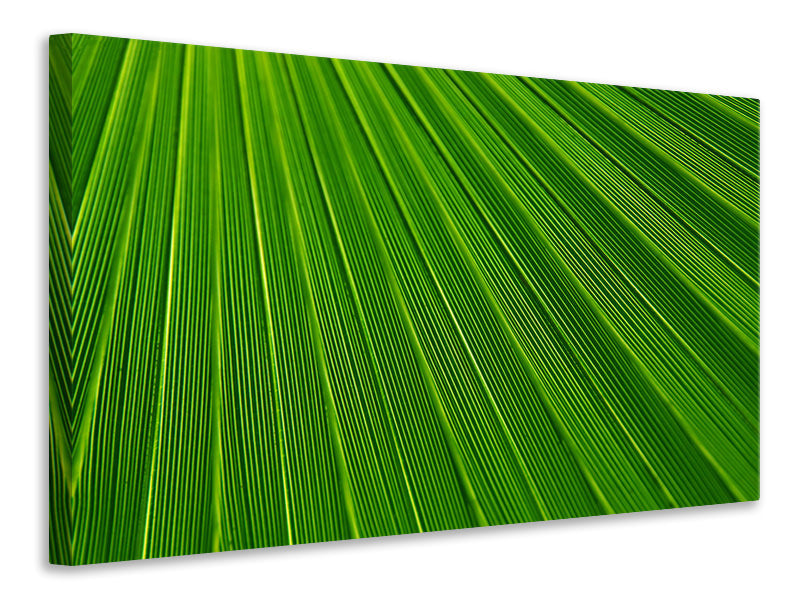 canvas-print-palm-stripe-i