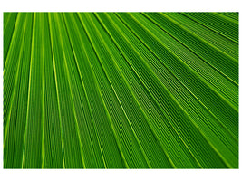 canvas-print-palm-stripe-i