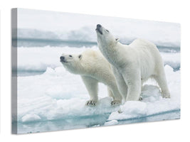 canvas-print-polar-bears-mother-and-son-x