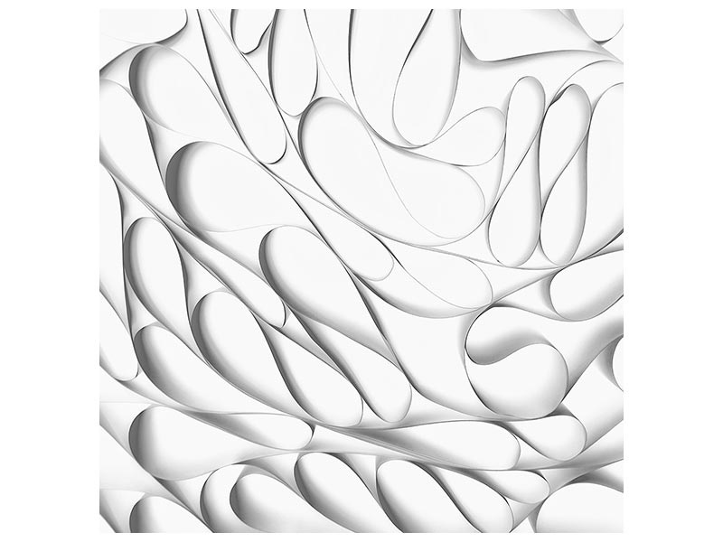 canvas-print-qsq-x