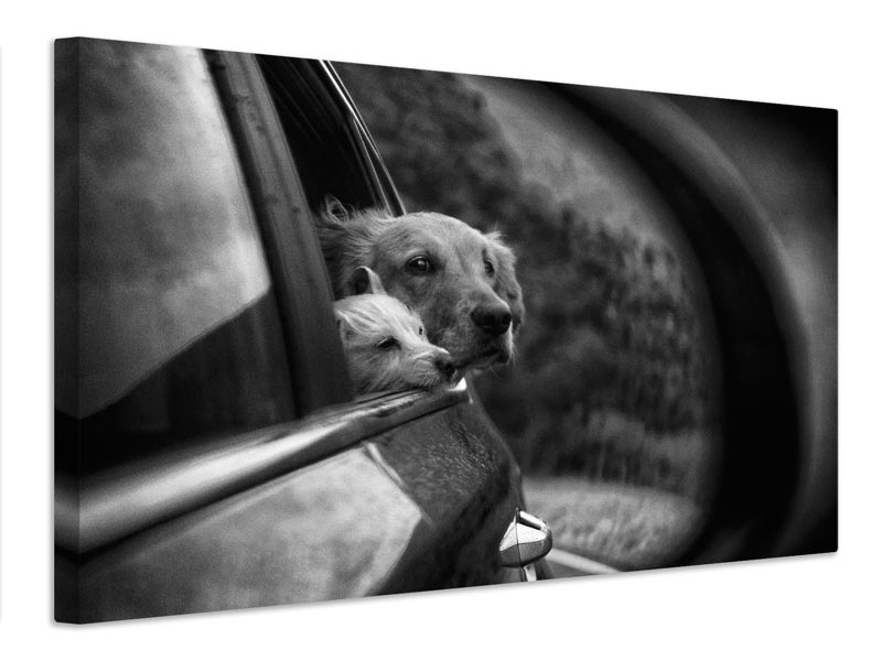 canvas-print-roadtrip-x