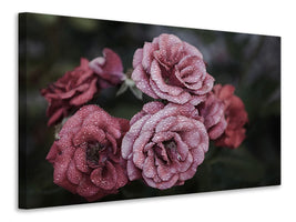 canvas-print-romantic-roses