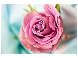 canvas-print-roseblossom-in-pink