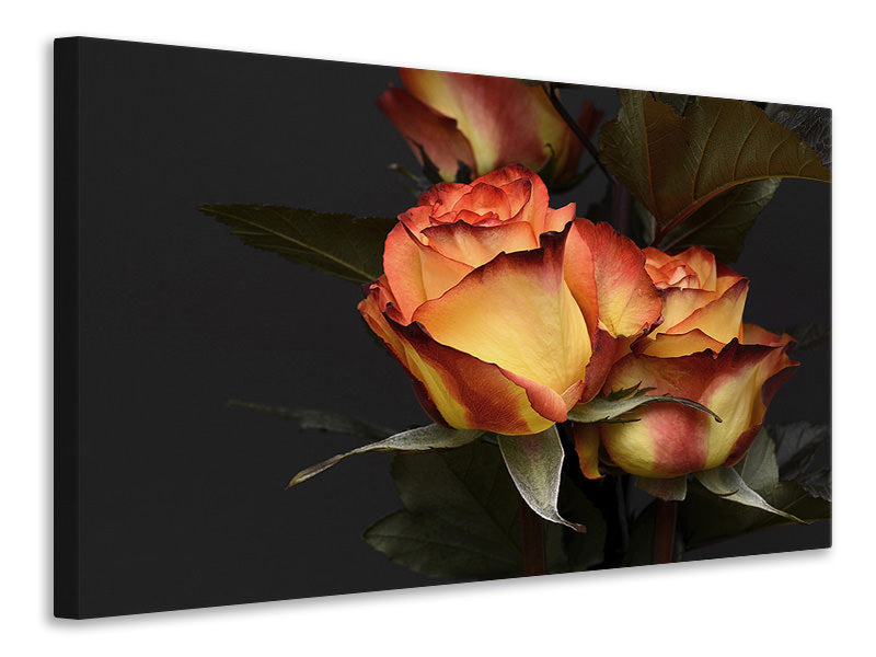 canvas-print-roses-of-the-romance