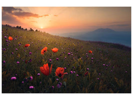 canvas-print-rudbar-heights-in-spring-x