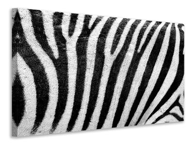 canvas-print-strip-of-the-zebra