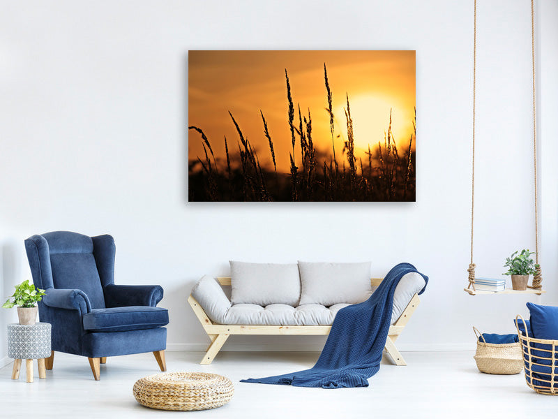 canvas-print-sunrise-on-the-field