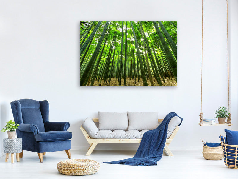 canvas-print-the-bamboo-forest