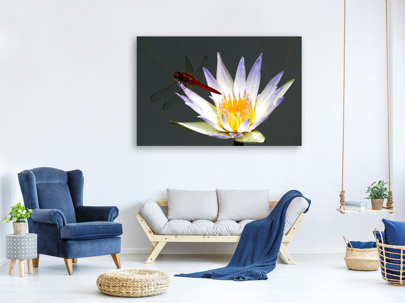 canvas-print-the-dragonfly-on-the-flower