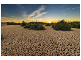 canvas-print-the-drought