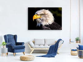 canvas-print-the-eagle-head