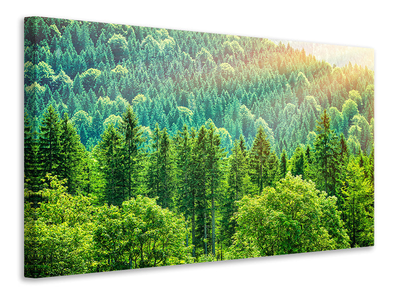 canvas-print-the-forest-hill
