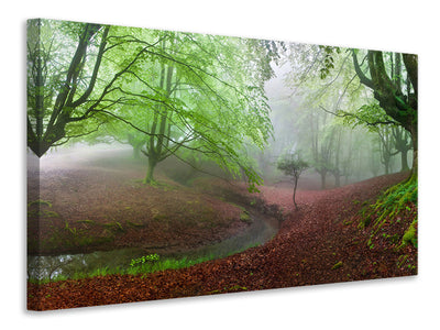 canvas-print-the-forest-maravillador-iii