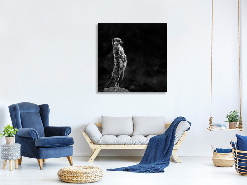 canvas-print-the-meerkat