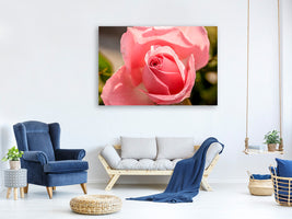 canvas-print-the-rose-in-pink