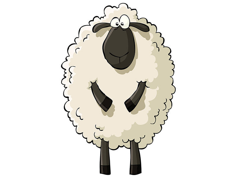 canvas-print-the-sheep