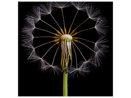canvas-print-the-wheel-x