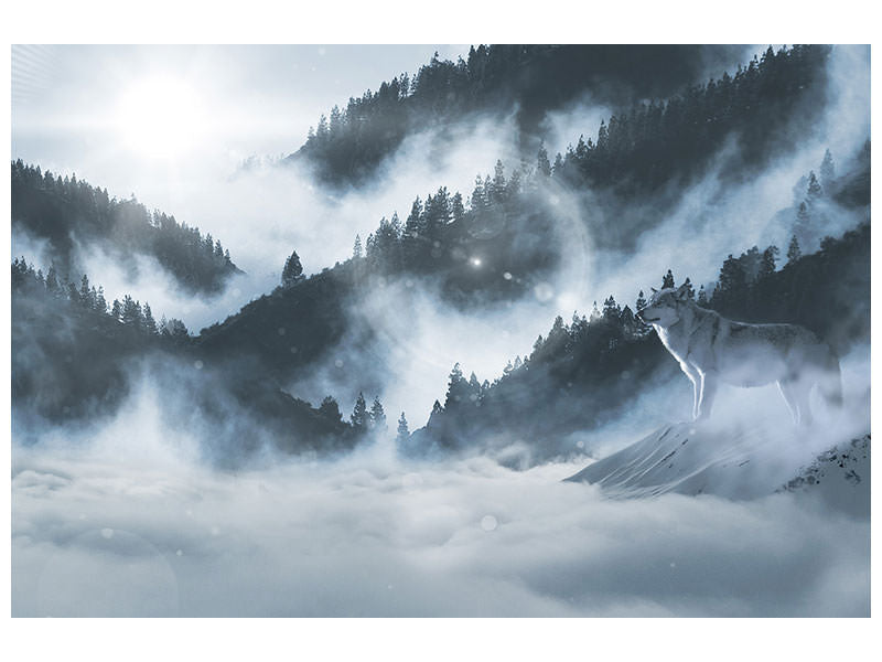 canvas-print-the-wolf-in-the-woods