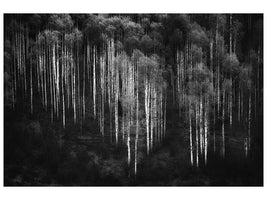 canvas-print-untitled-xjj