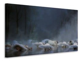 canvas-print-von-rothbarts-curse