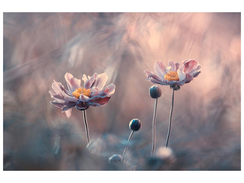 canvas-print-with-love-x