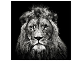 canvas-print-young-male-lion-x