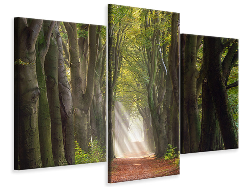 modern-3-piece-canvas-print-a-glorious-day