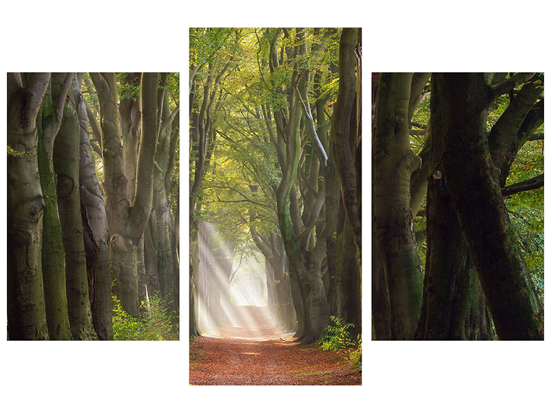 modern-3-piece-canvas-print-a-glorious-day