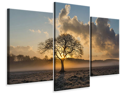 modern-3-piece-canvas-print-a-lonely-tree