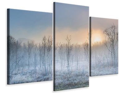 modern-3-piece-canvas-print-a-touch-of-winter