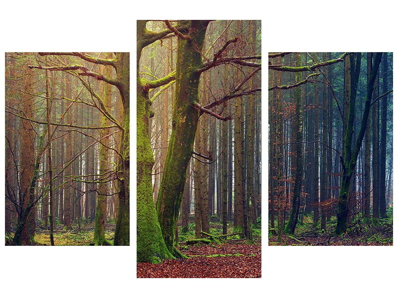 modern-3-piece-canvas-print-alone-in-the-woods