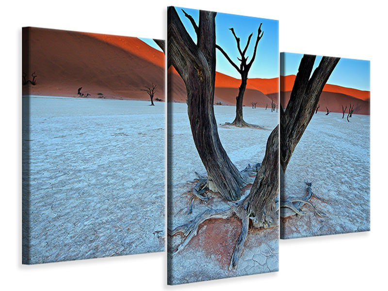 modern-3-piece-canvas-print-ancient-trees-in-the-vlei